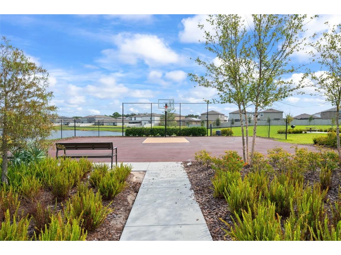 16847 Delia Street Wimauma FL 33598 TB8429669 image65