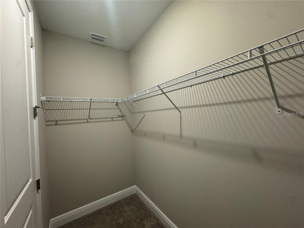 16848 Hamlin Vista Alley Winter Garden FL 34787 O6371173 image19