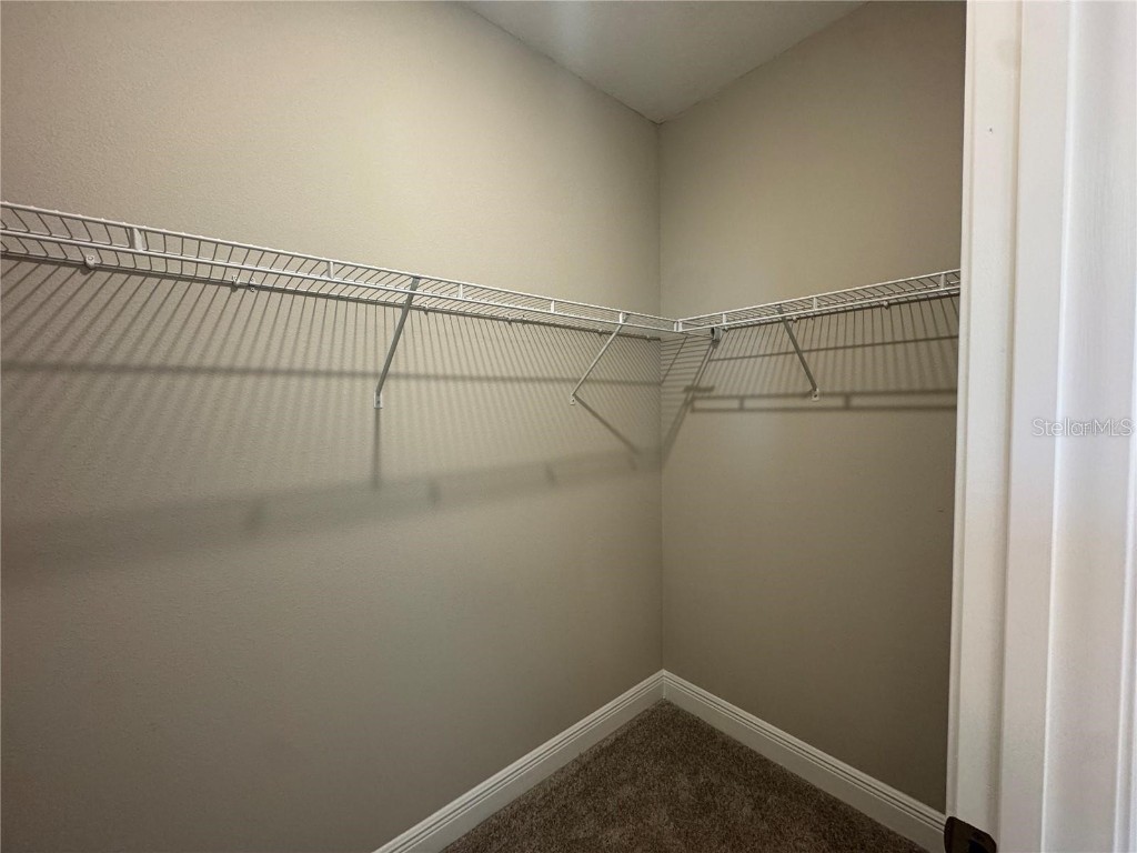 16848 Hamlin Vista Alley Winter Garden FL 34787 O6371173 image20