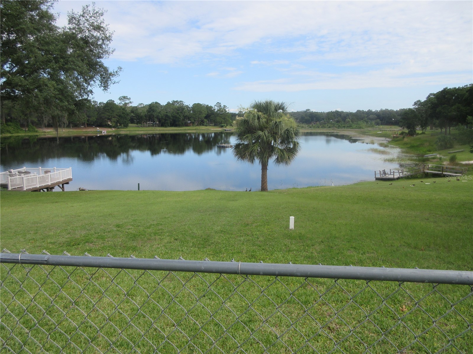 16849 SE 59th Place Ocklawaha FL 32179 - Crystal Lake OM726650 image19
