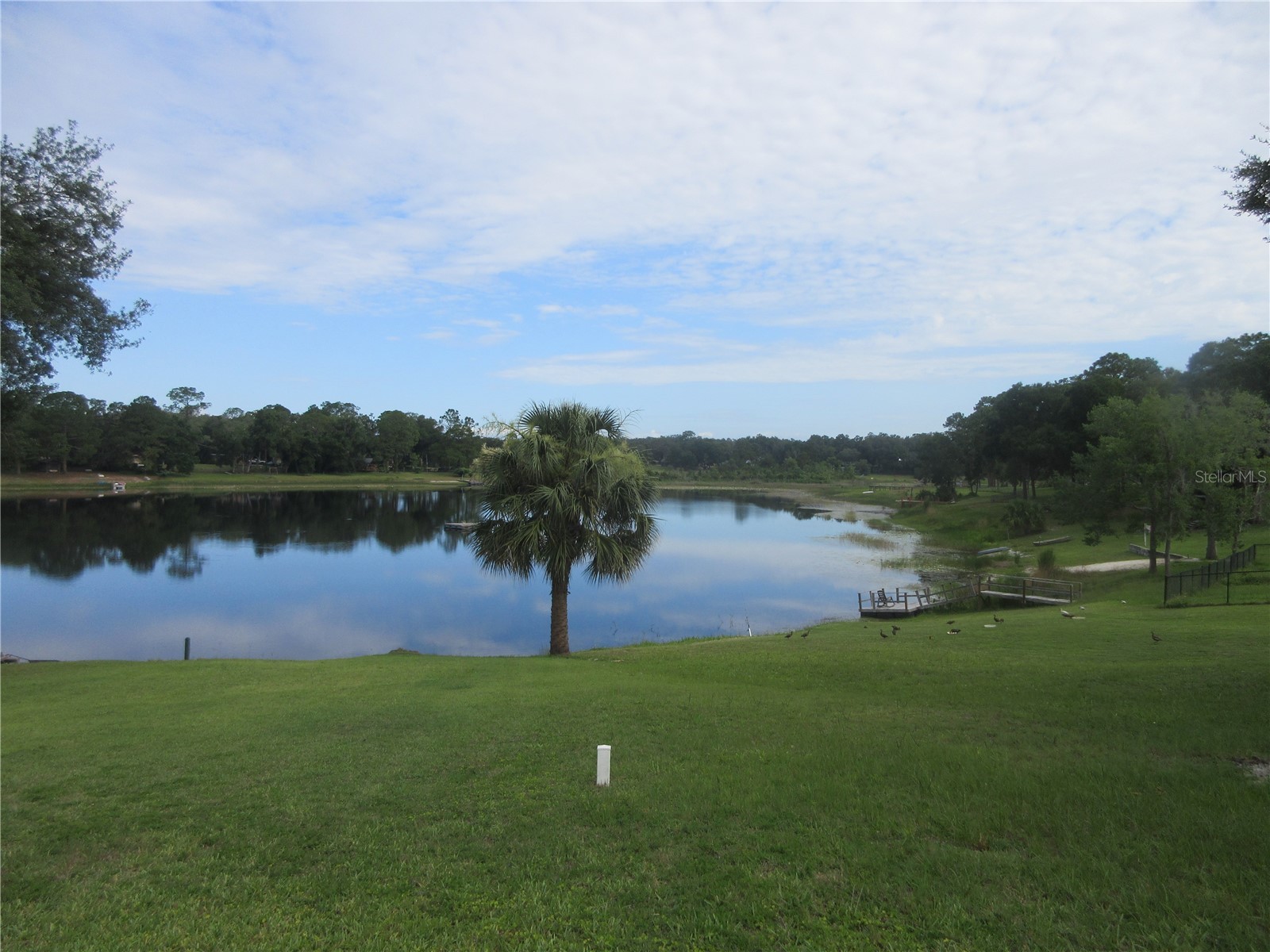 16849 SE 59th Place Ocklawaha FL 32179 - Crystal Lake OM726650 image21