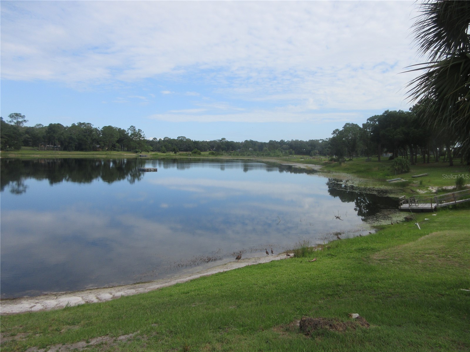 16849 SE 59th Place Ocklawaha FL 32179 - Crystal Lake OM726650 image23