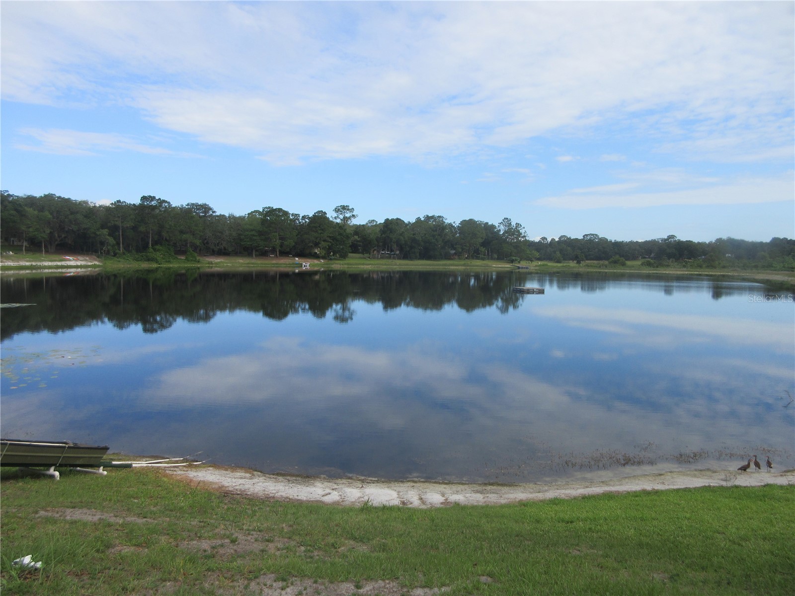 16849 SE 59th Place Ocklawaha FL 32179 - Crystal Lake OM726650 image24
