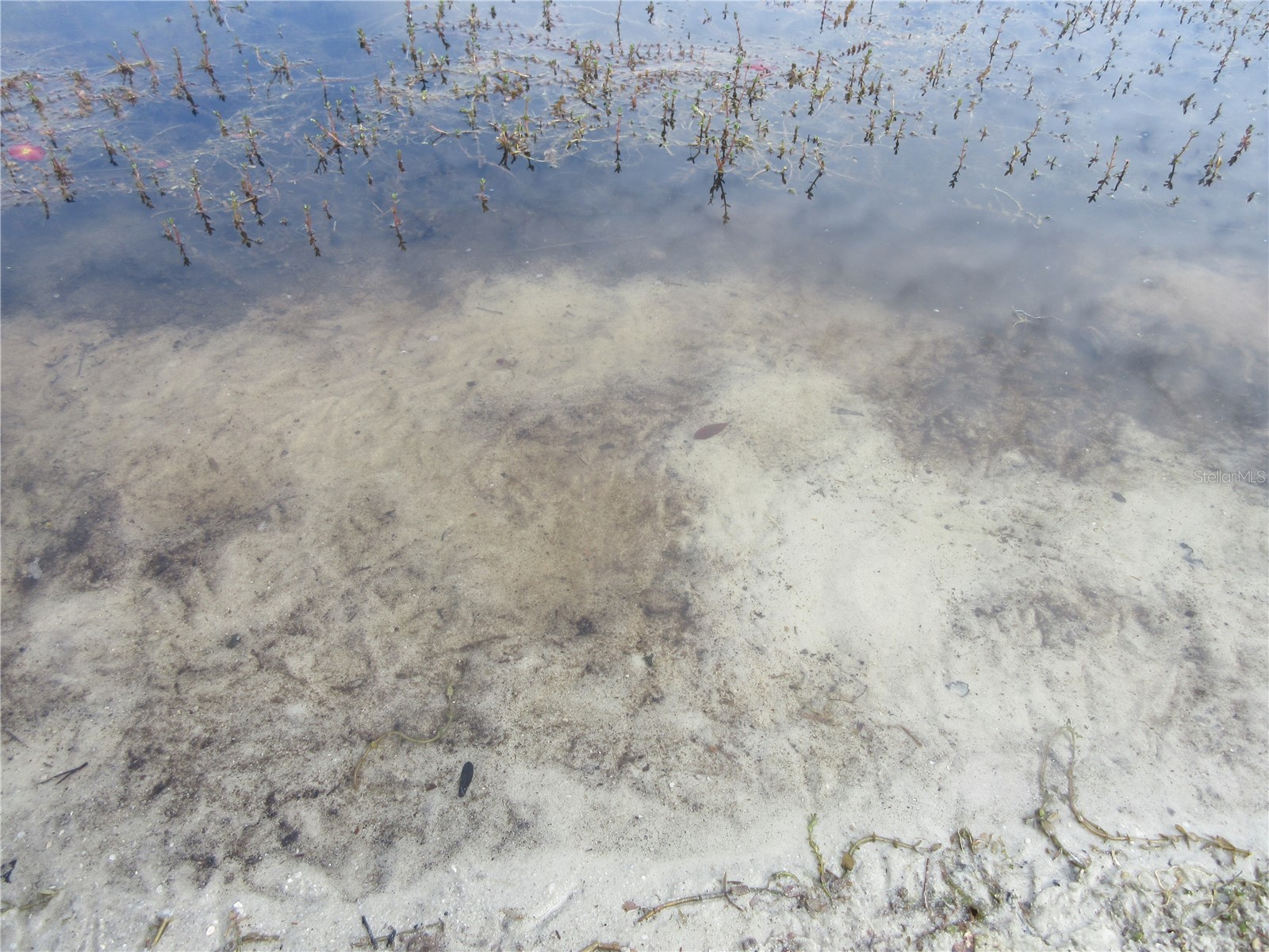 16849 SE 59th Place Ocklawaha FL 32179 - Crystal Lake OM726650 image27