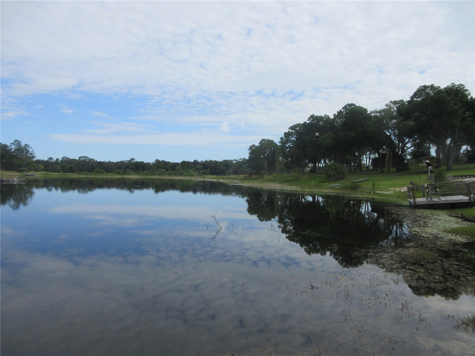 16849 SE 59th Place Ocklawaha FL 32179 - Crystal Lake OM726650 image30
