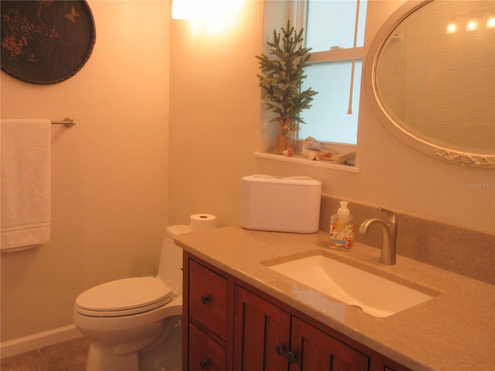 16849 SE 59th Place Ocklawaha FL 32179 - Crystal Lake OM726650 image63