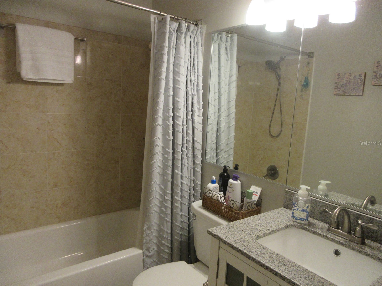 16849 SE 59th Place Ocklawaha FL 32179 - Crystal Lake OM726650 image91