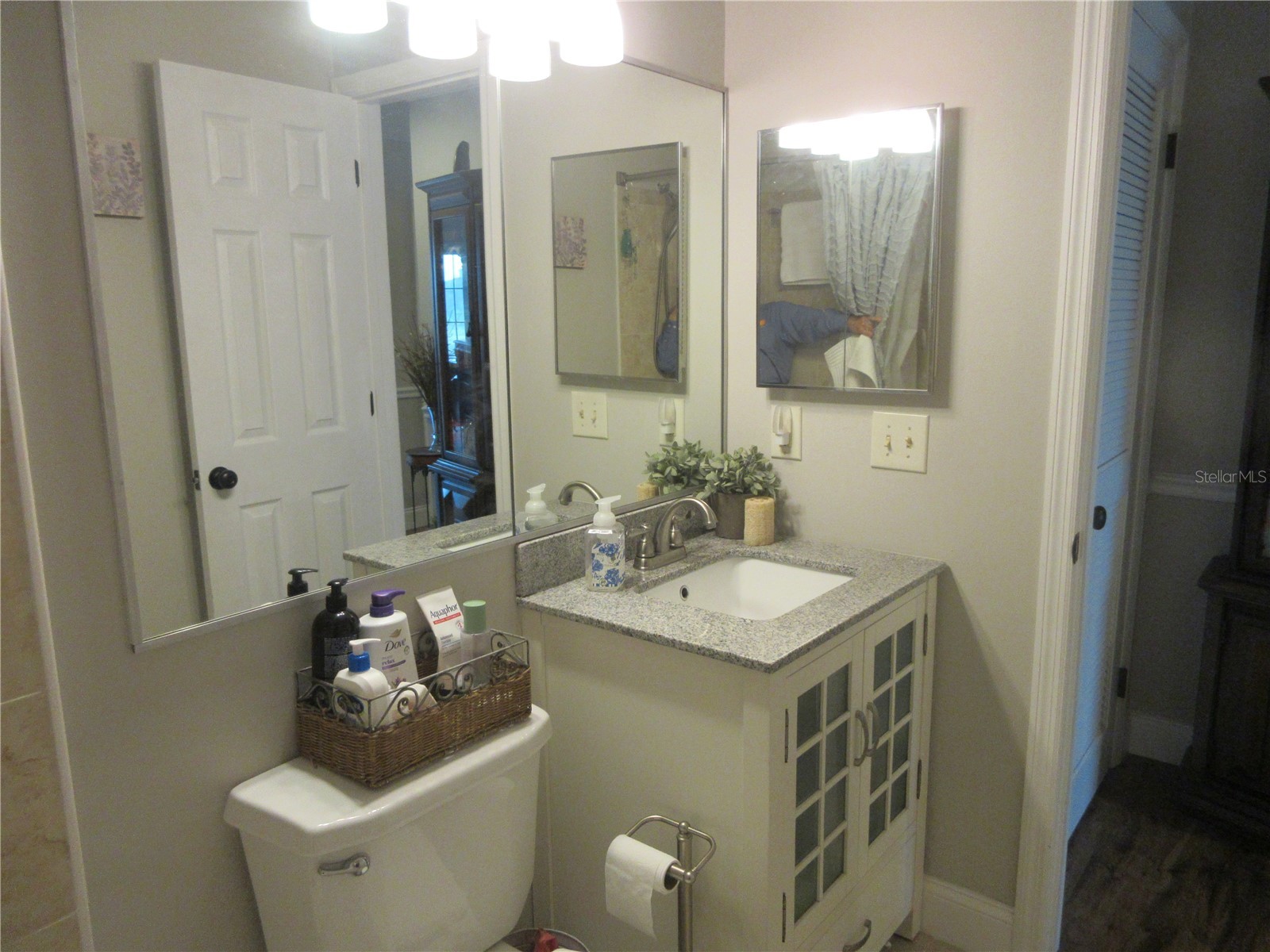 16849 SE 59th Place Ocklawaha FL 32179 - Crystal Lake OM726650 image92