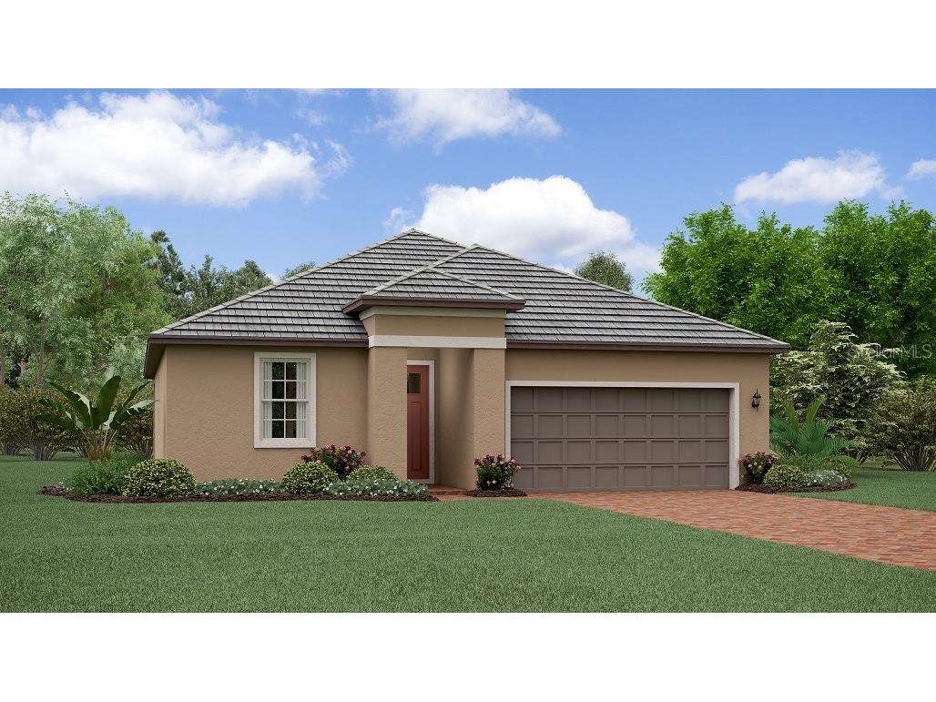 16849 Shell Bay Drive Land O Lakes FL 34638 T3446149 image1