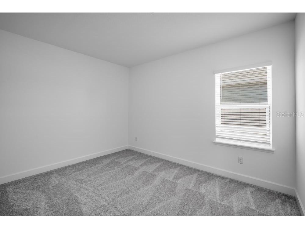 1685 Trailhead Lane Zephyrhills FL 33541 TB8430587 image16