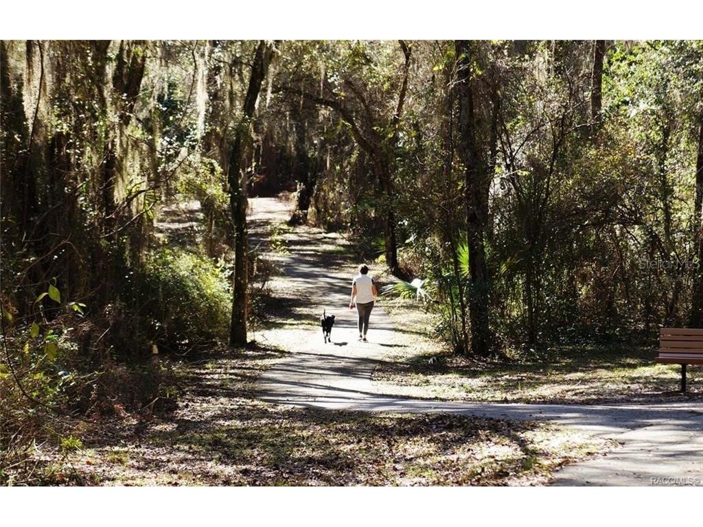 1685 W Spring Meadow Loop Lecanto FL 34461 W7879531 image55