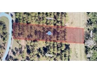 16850 Artimino Loop Montverde FL 34756 J963626 image1