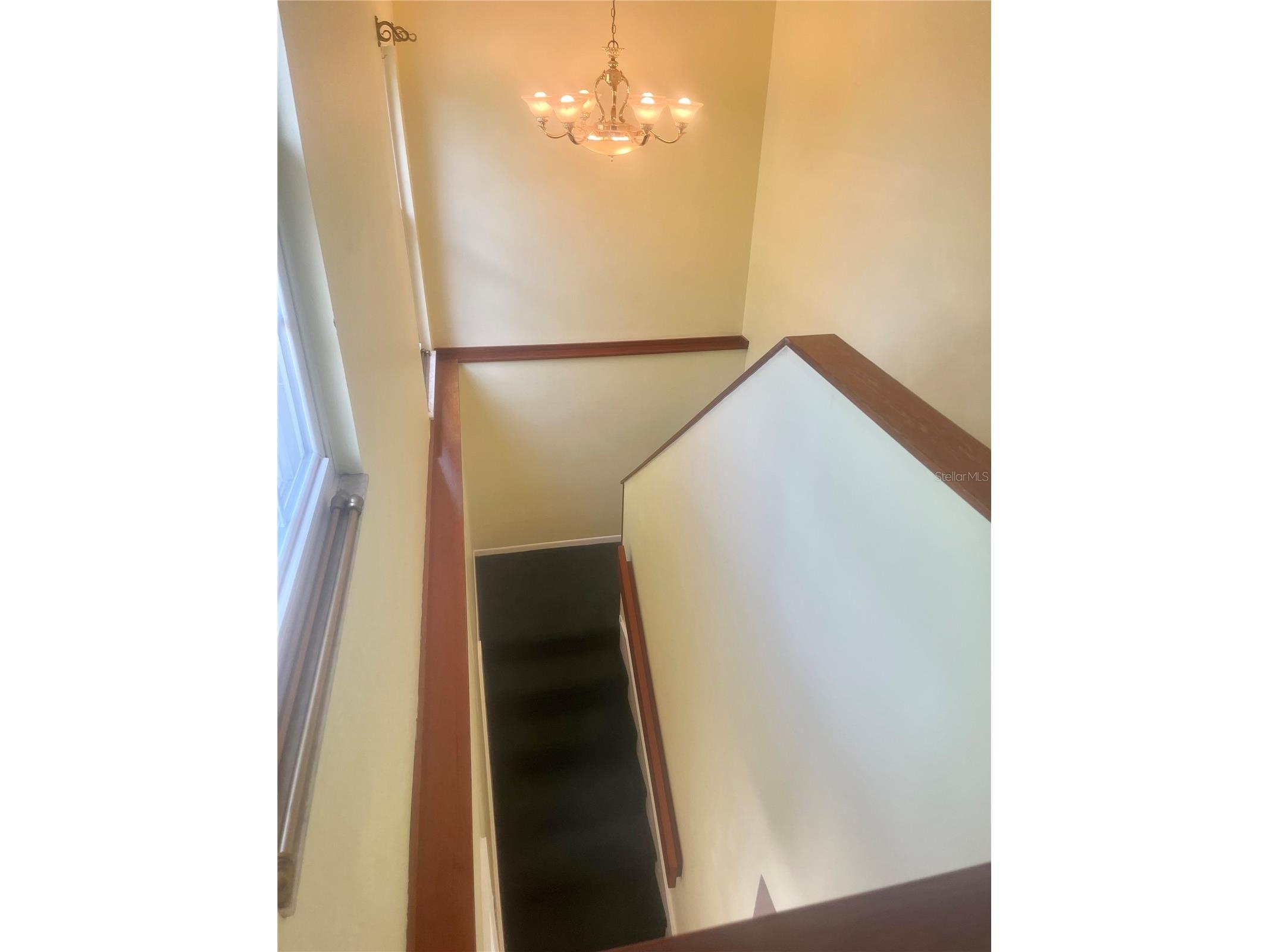 16851 Le Clare Shores Drive Tampa FL 33624 TB8495830 image20