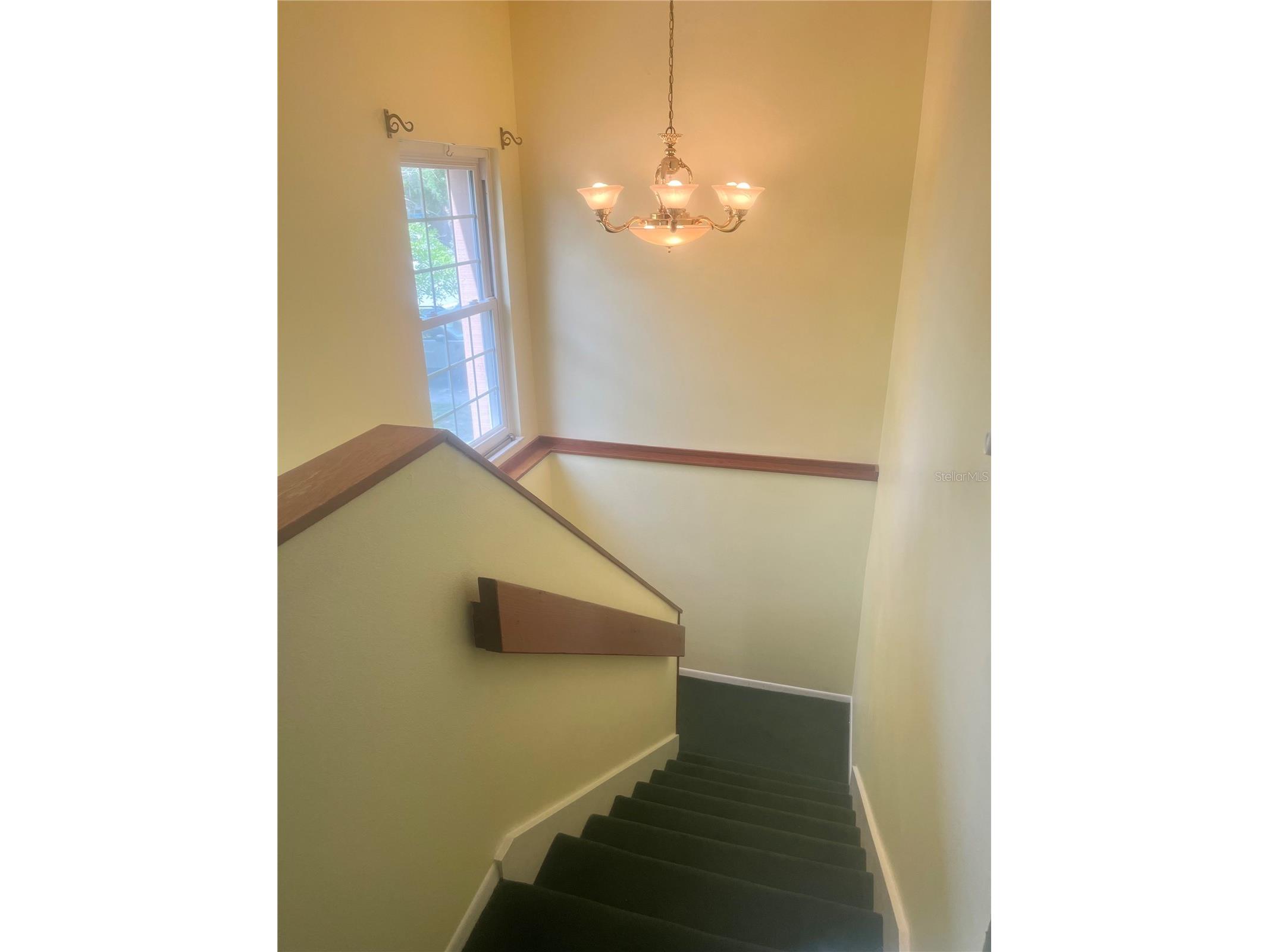 16851 Le Clare Shores Drive Tampa FL 33624 TB8495830 image21