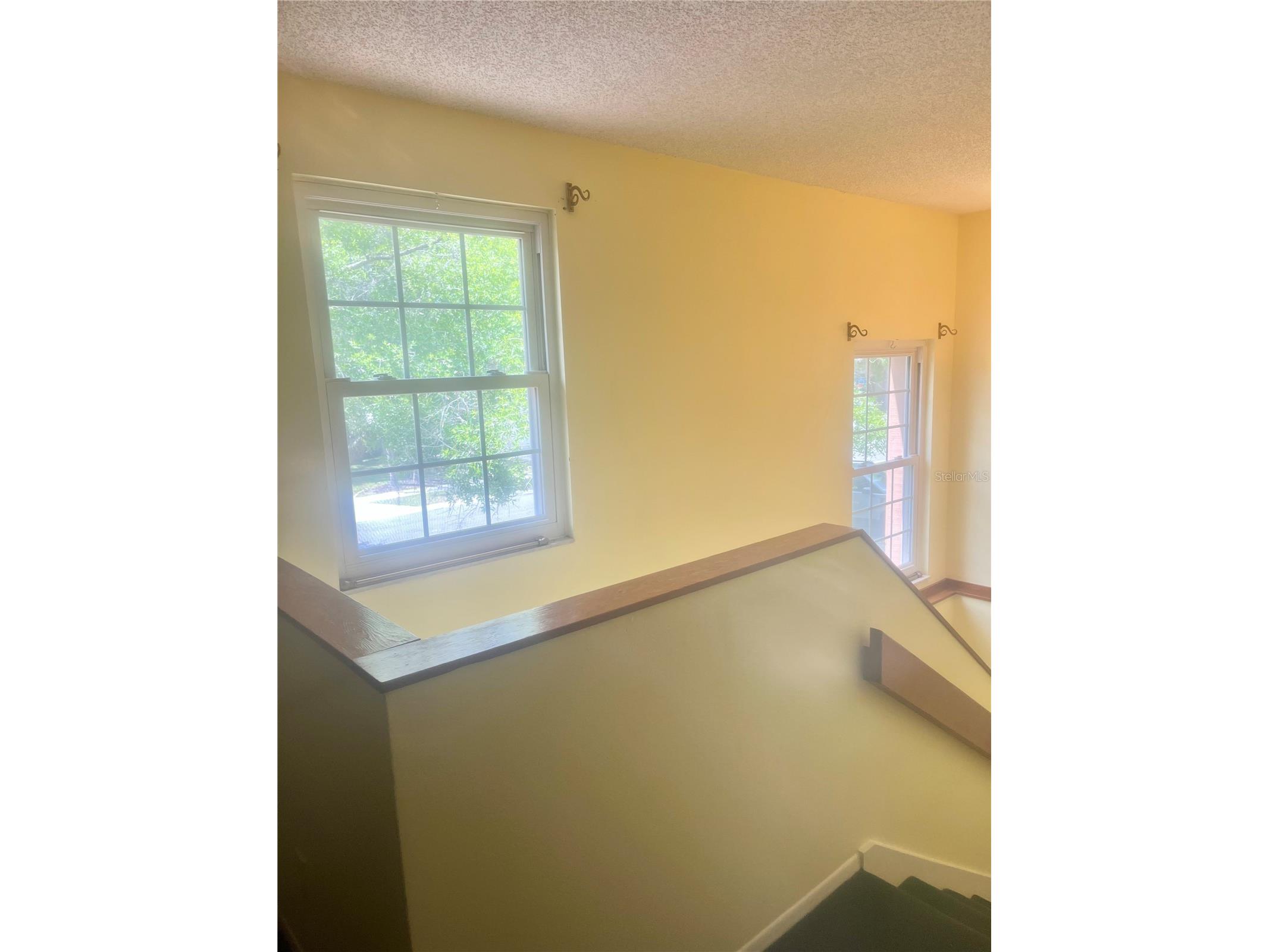 16851 Le Clare Shores Drive Tampa FL 33624 TB8495830 image22