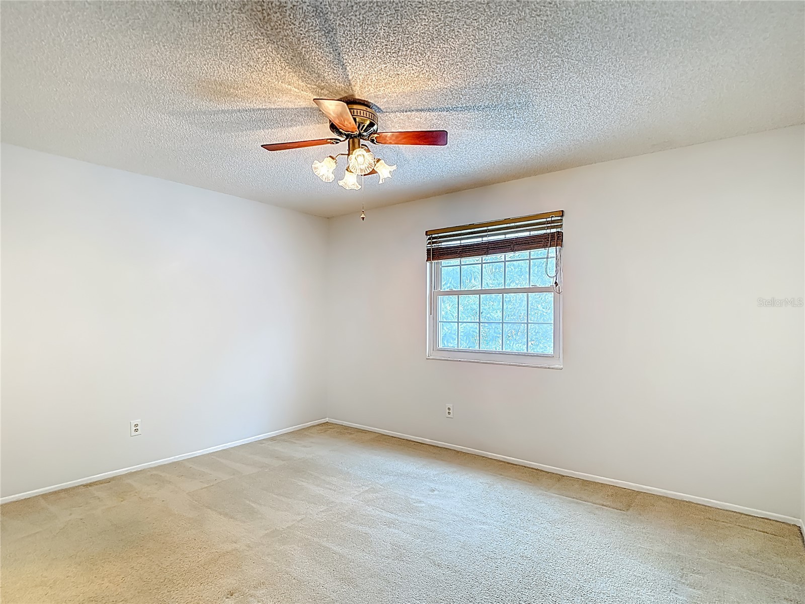 16851 Le Clare Shores Drive Tampa FL 33624 TB8495830 image28