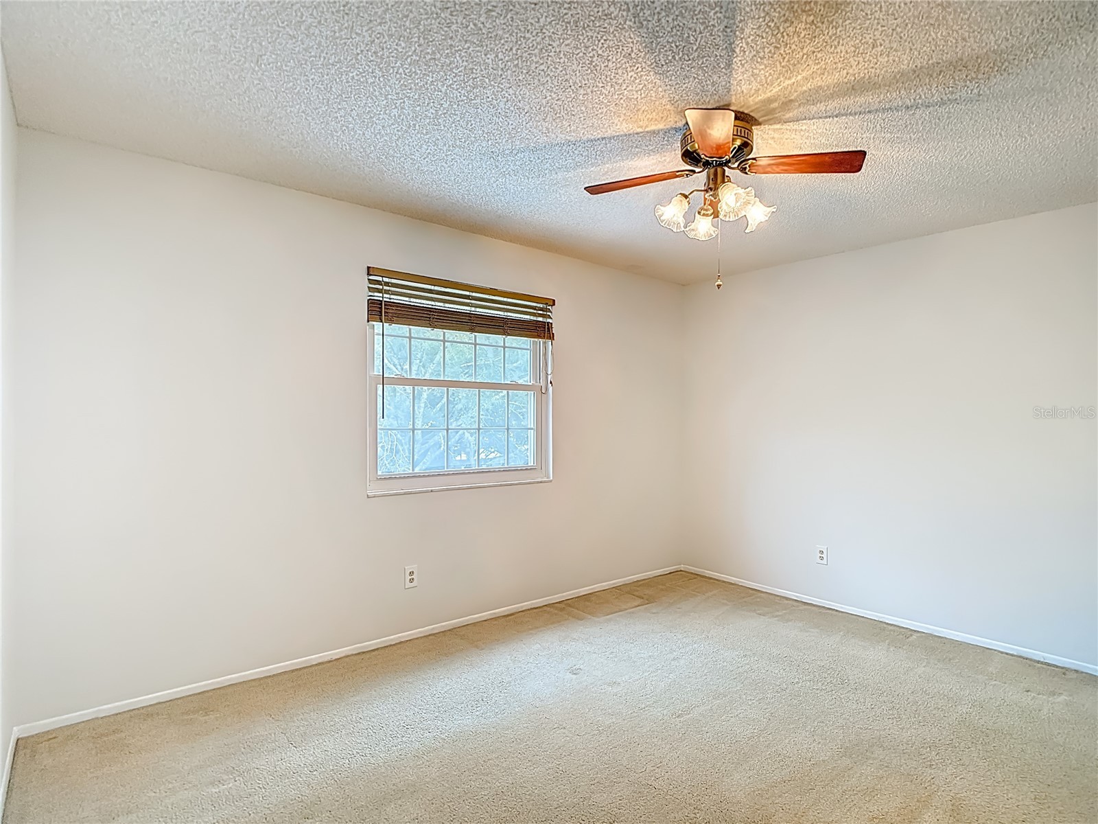 16851 Le Clare Shores Drive Tampa FL 33624 TB8495830 image29