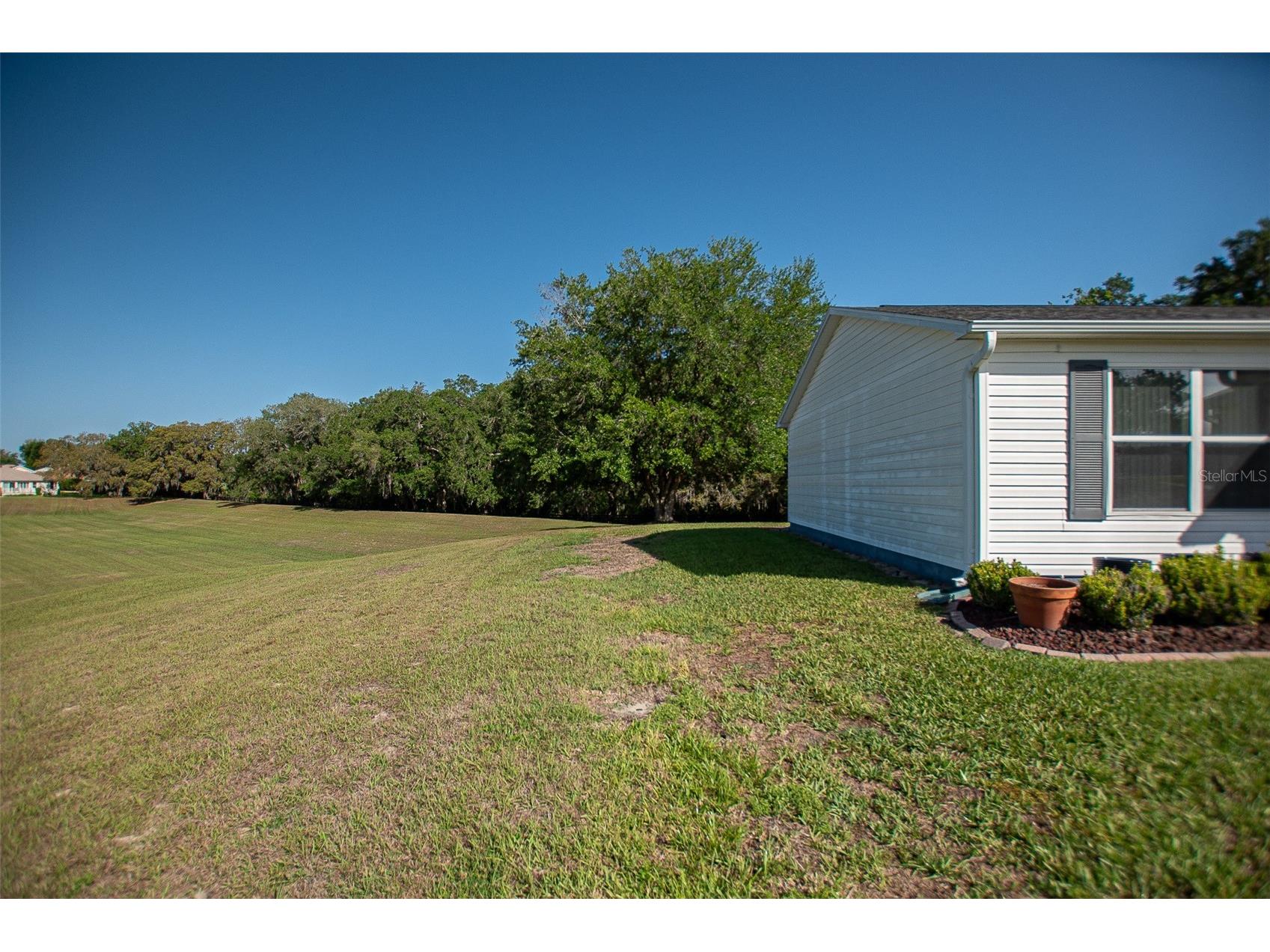 16852 SE 96th Chapelwood Circle The Villages FL 32162 OM722566 image4