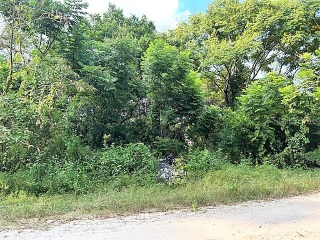 16855 NE 2nd Street Road Silver Springs FL 34488 OM664881 image1