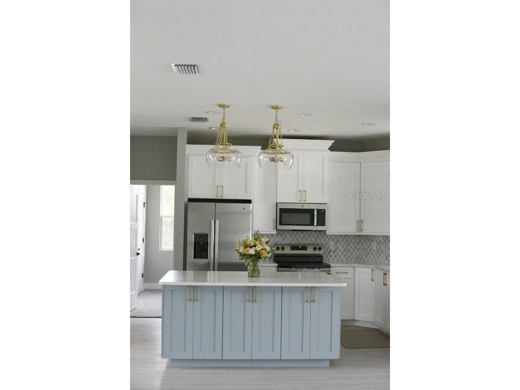 16855 SW 25th Court Ocala FL 34473 A4670701 image4