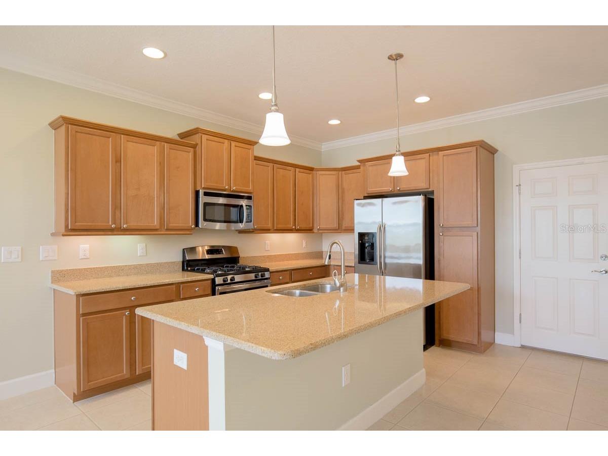 16856 Dorman Road Lithia FL 33547 TB8524751 image5