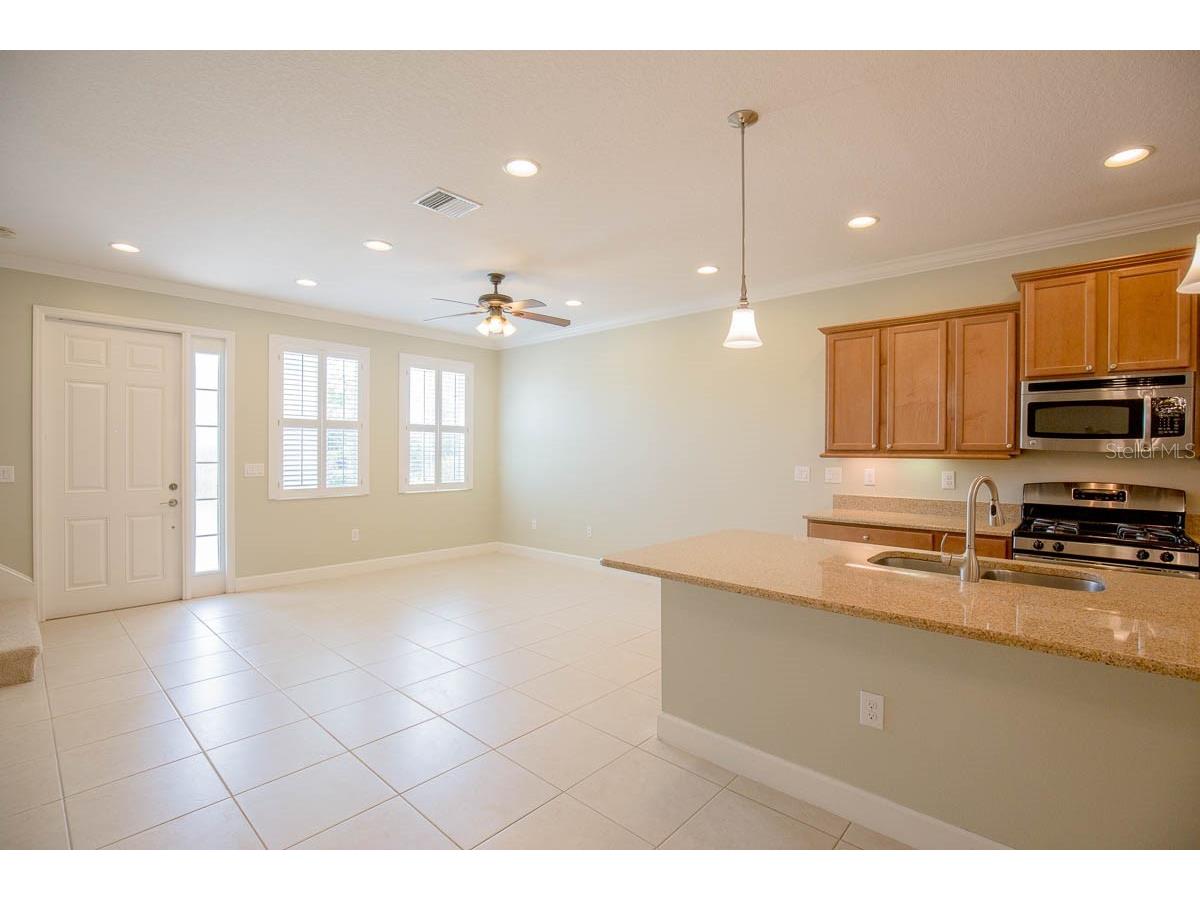 16856 Dorman Road Lithia FL 33547 TB8524751 image6
