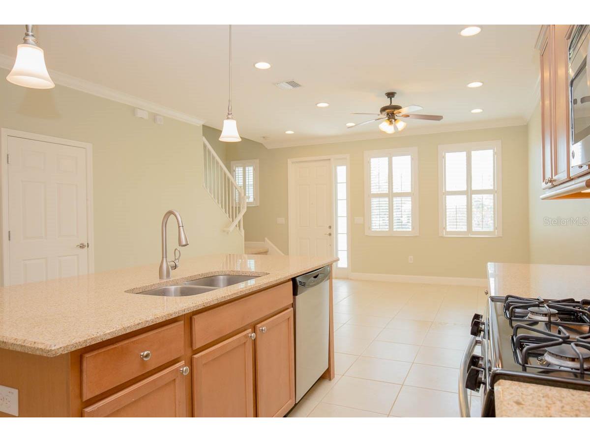 16856 Dorman Road Lithia FL 33547 TB8524751 image8