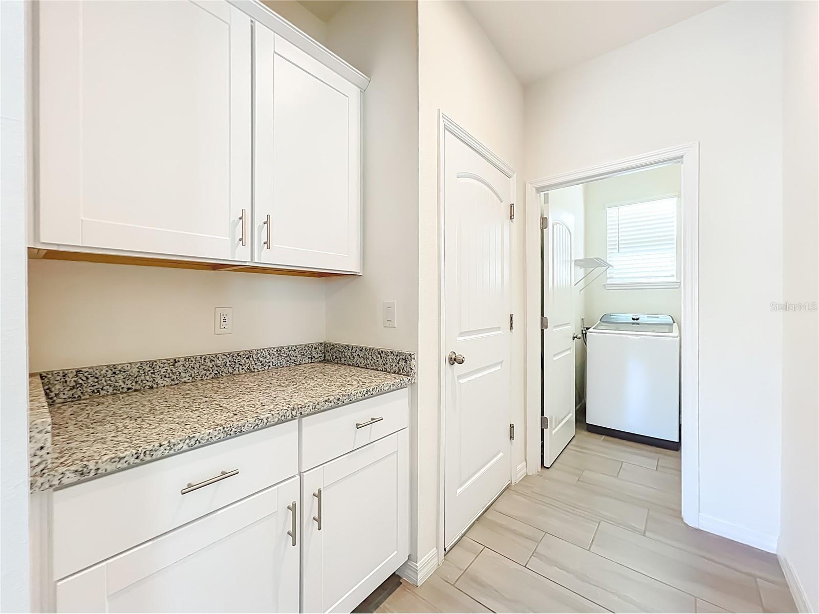 16856 Hypatia Alley Winter Garden FL 34787 O6387941 image43