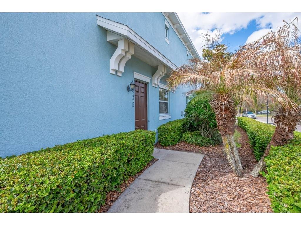 16858 Dorman Road Lithia FL 33547 TB8481897 image24