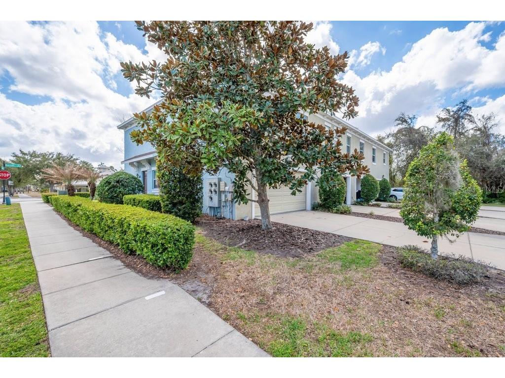 16858 Dorman Road Lithia FL 33547 TB8481897 image27