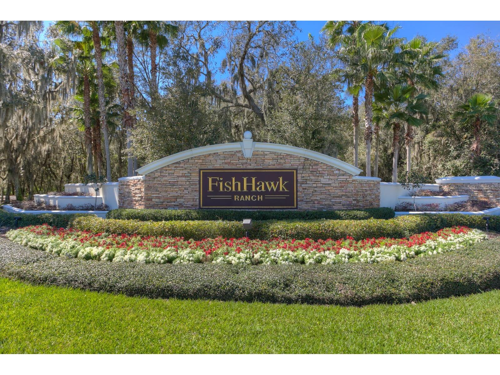 16858 Dorman Road Lithia FL 33547 TB8481897 image29