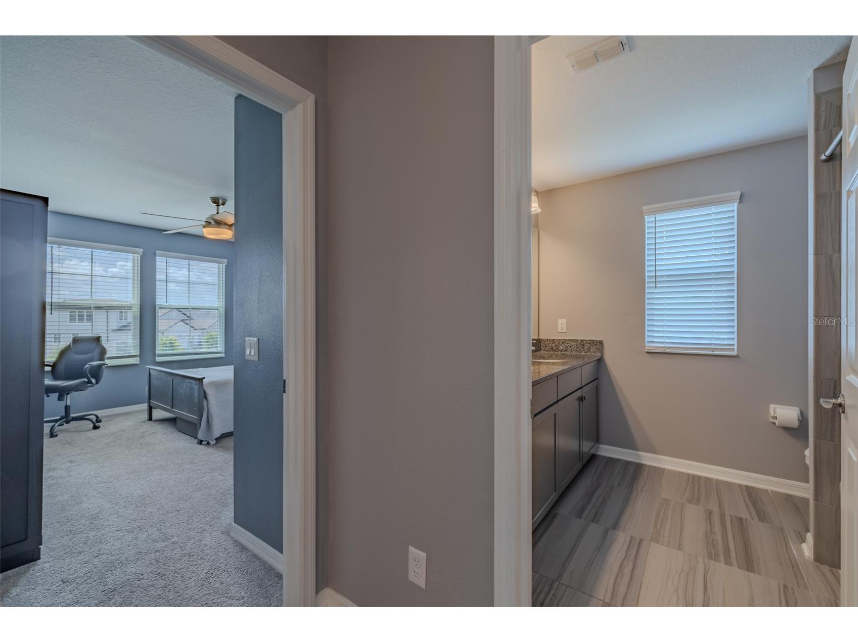 1686 Cherry Walk Road Lutz FL 33558 TB8512563 image43