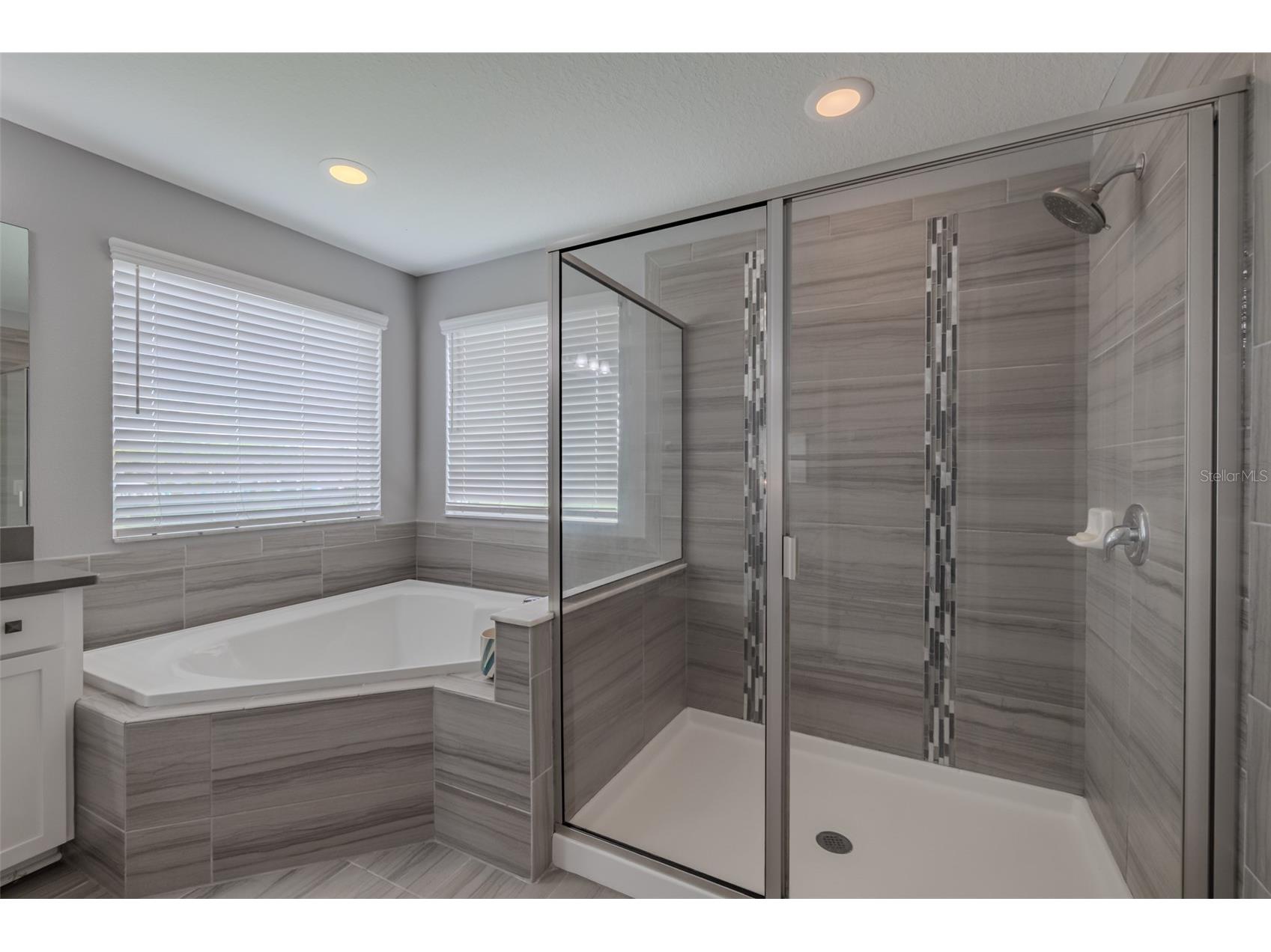 1686 Cherry Walk Road Lutz FL 33558 TB8512563 image49