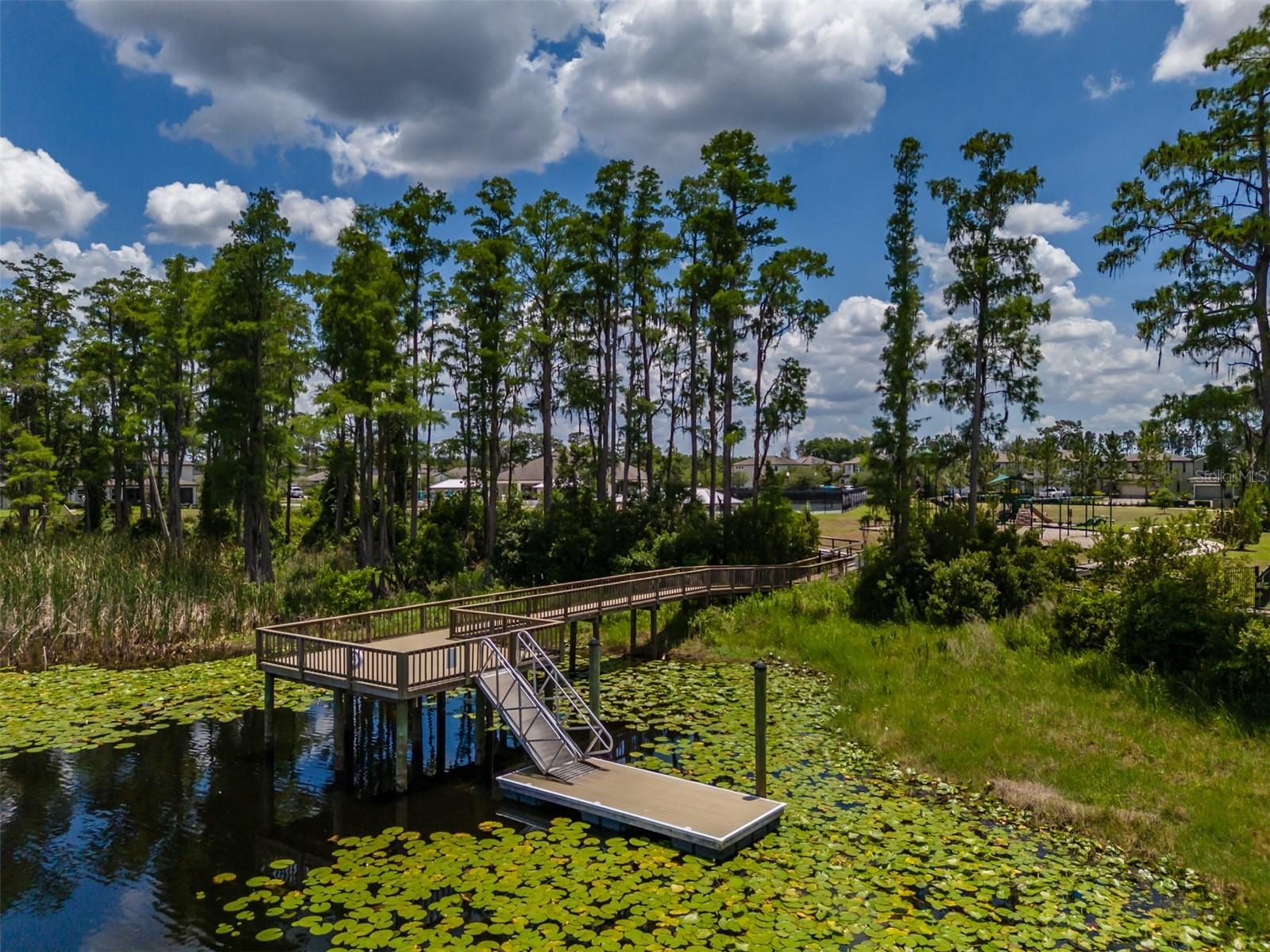 1686 Cherry Walk Road Lutz FL 33558 TB8512563 image69