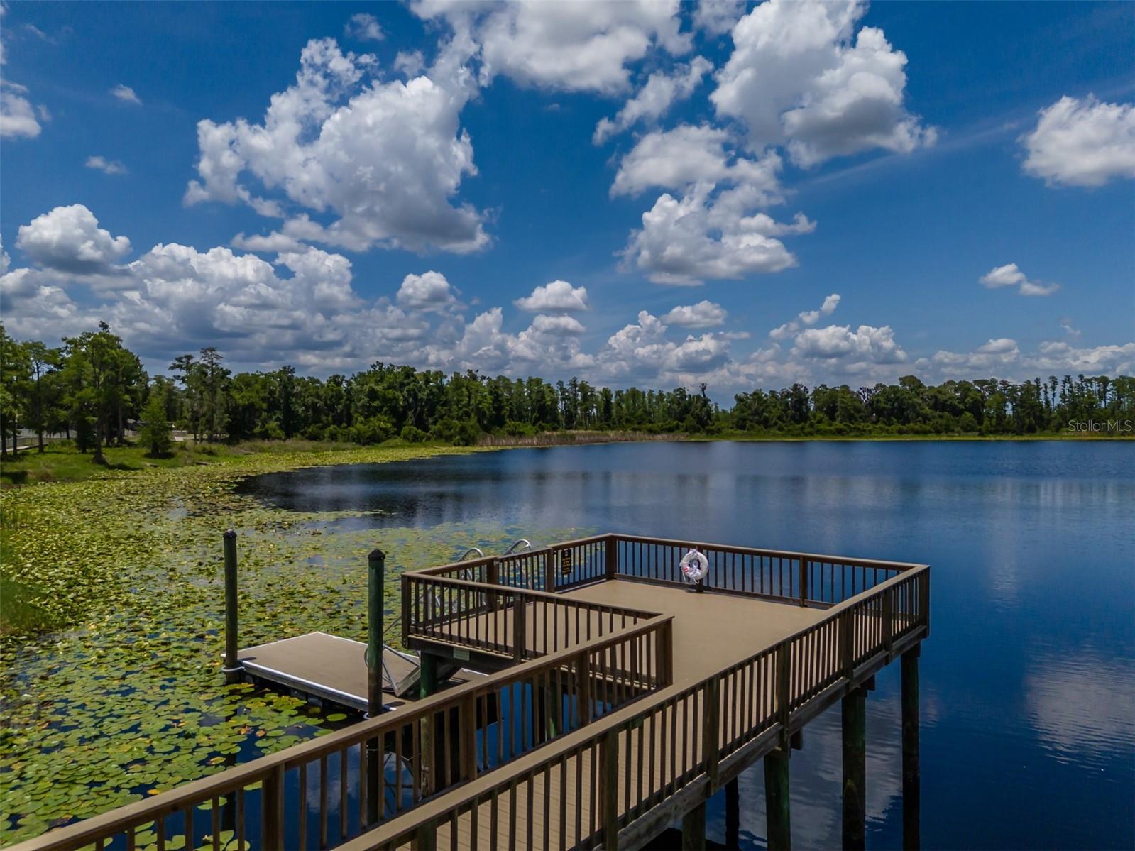 1686 Cherry Walk Road Lutz FL 33558 TB8512563 image70