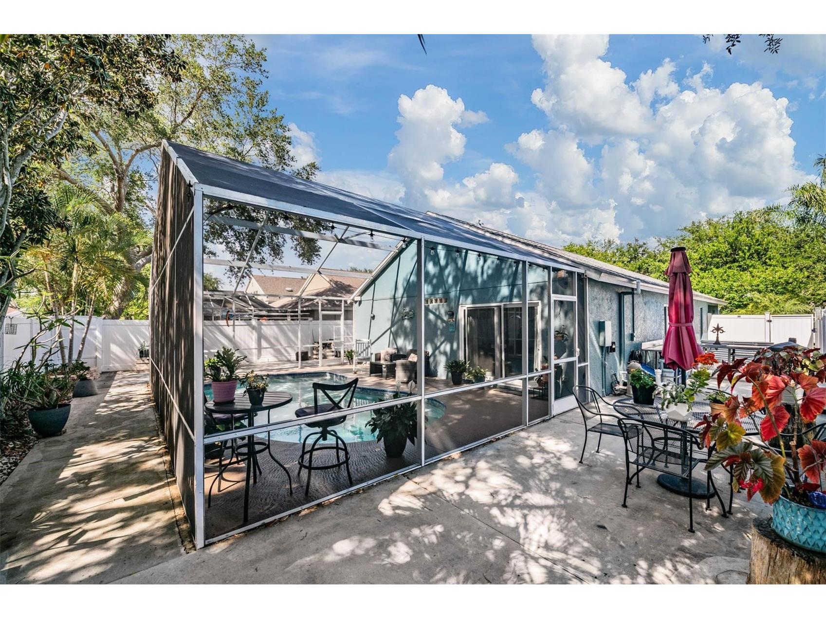 1686 Oak Spring Drive Tarpon Springs FL 34689 TB8499951 image26