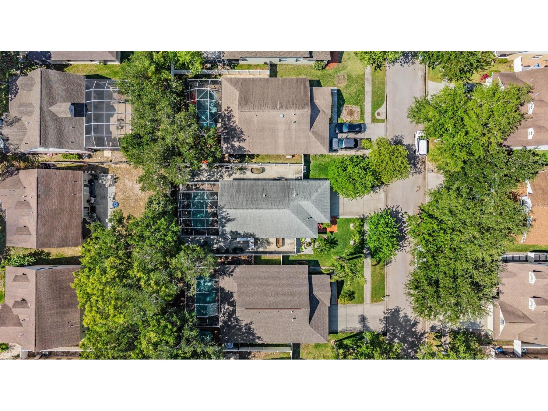 1686 Oak Spring Drive Tarpon Springs FL 34689 TB8499951 image30
