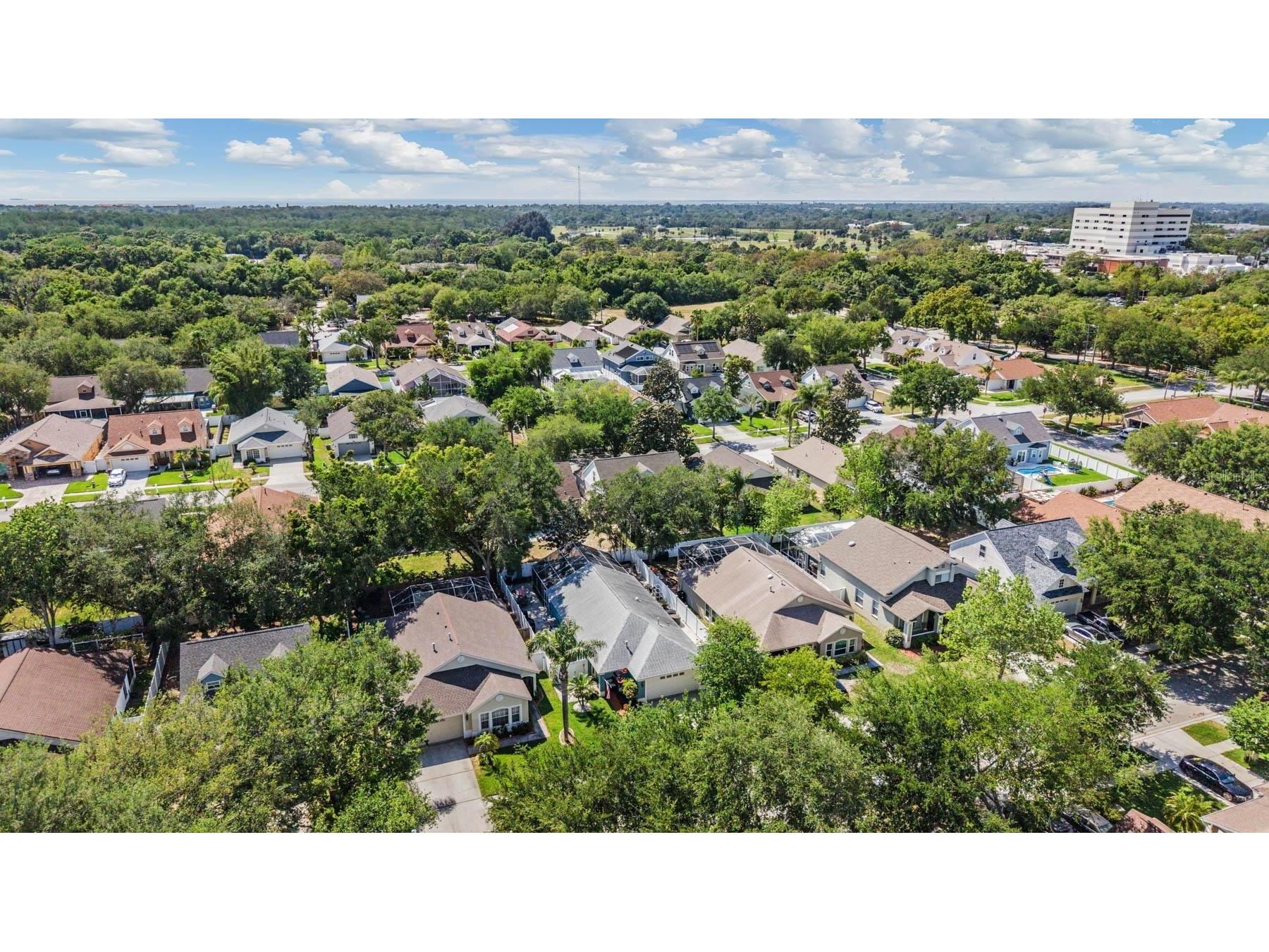 1686 Oak Spring Drive Tarpon Springs FL 34689 TB8499951 image31
