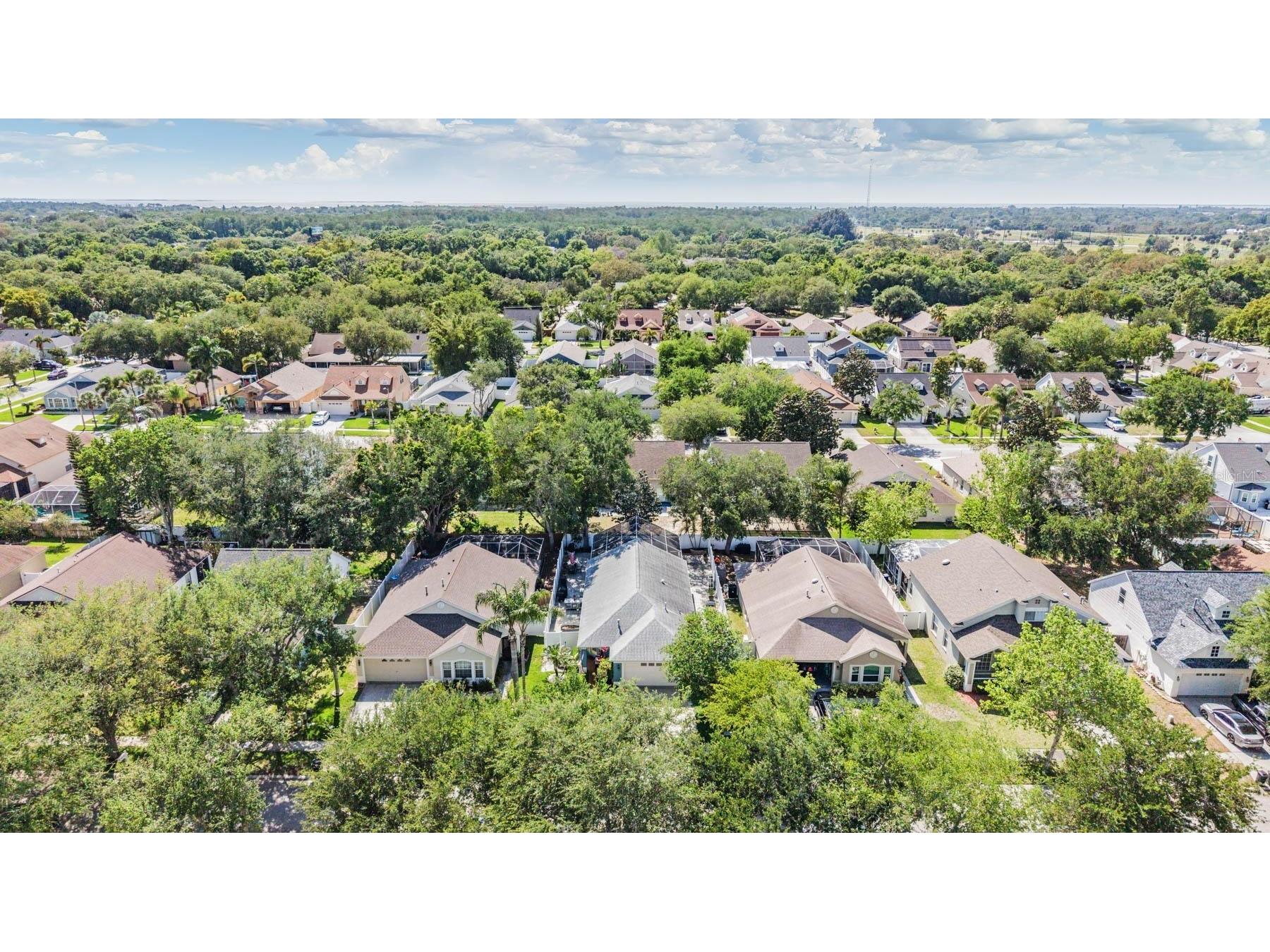 1686 Oak Spring Drive Tarpon Springs FL 34689 TB8499951 image32