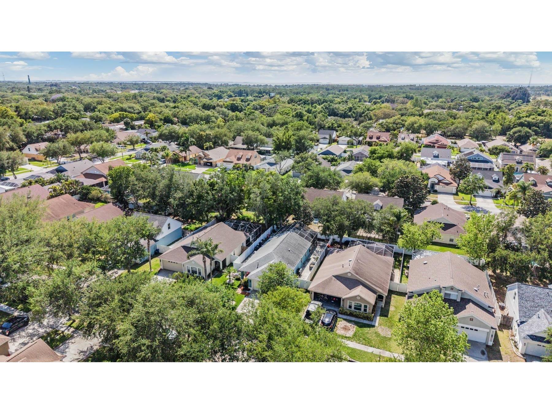 1686 Oak Spring Drive Tarpon Springs FL 34689 TB8499951 image33