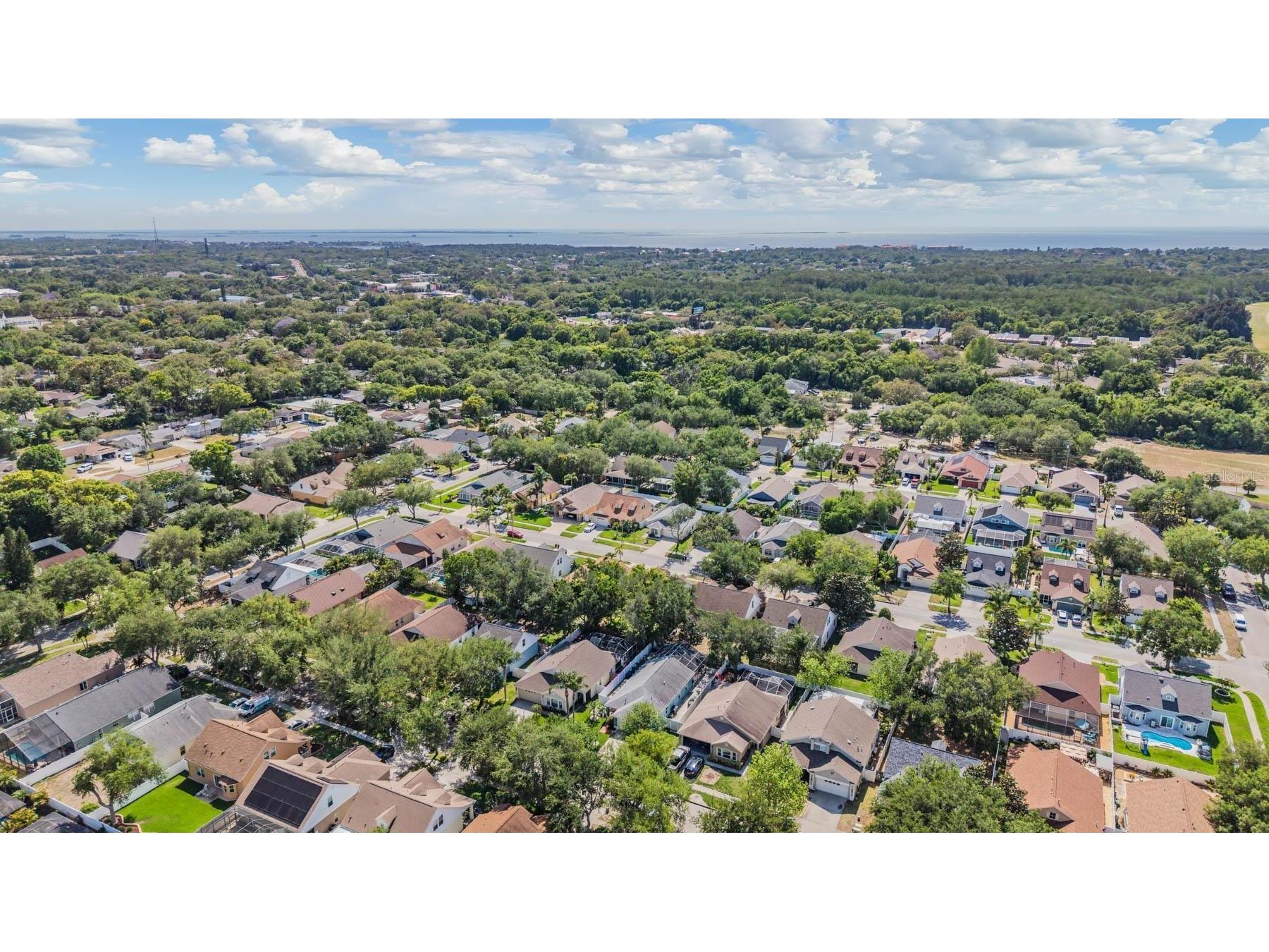 1686 Oak Spring Drive Tarpon Springs FL 34689 TB8499951 image34