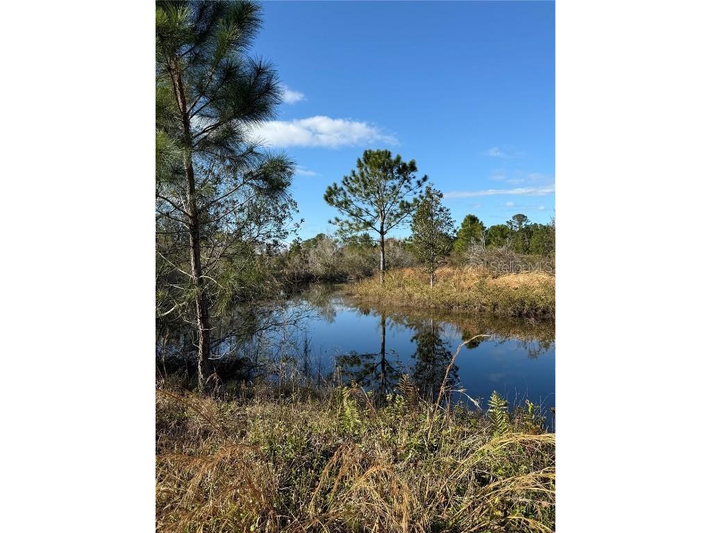 1686 Oak View Farms Road Osteen FL 32764 O6274990 image1