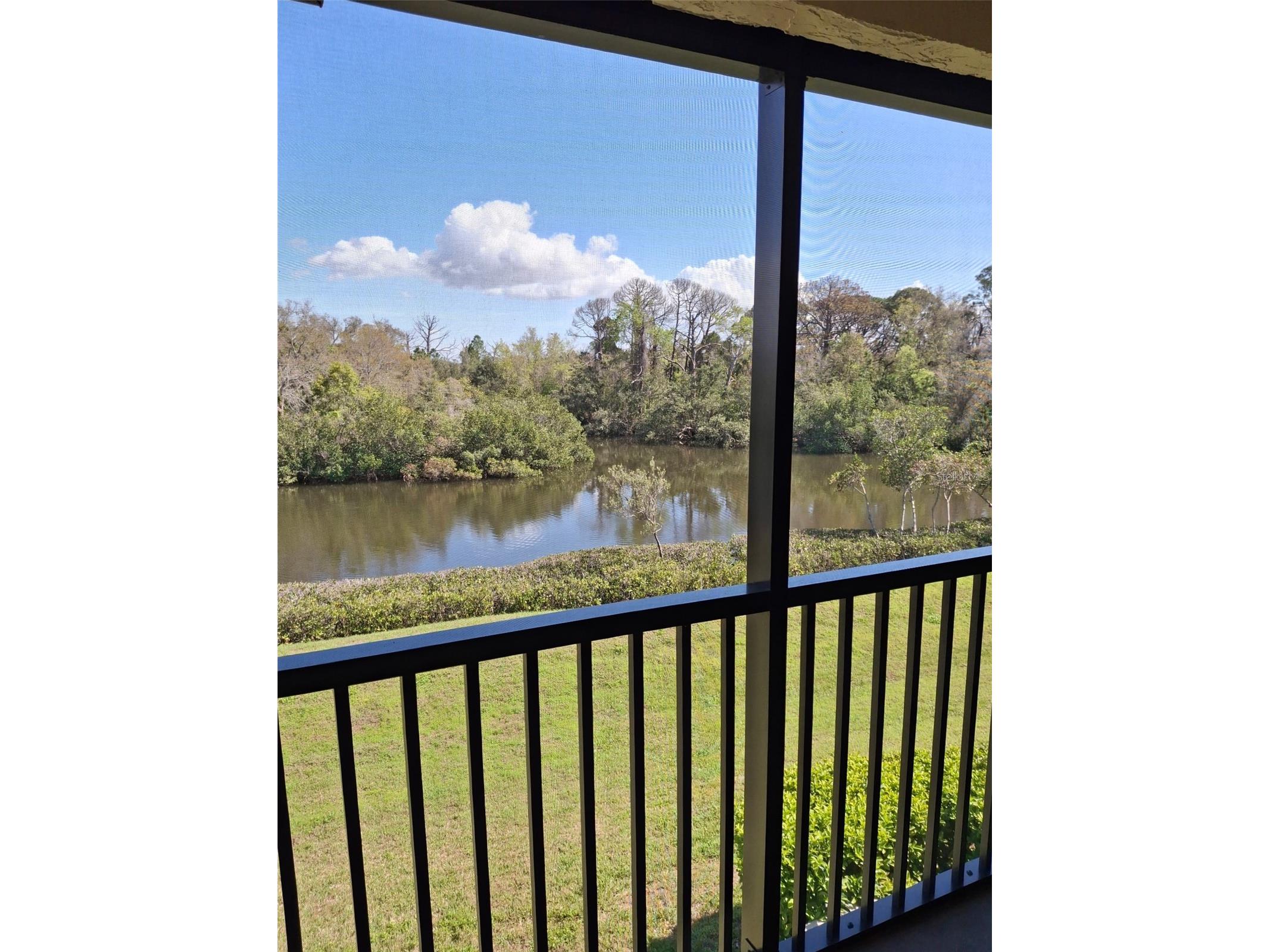 1686 Seascape Circle Tarpon Springs FL 34689 TB8526235 image20