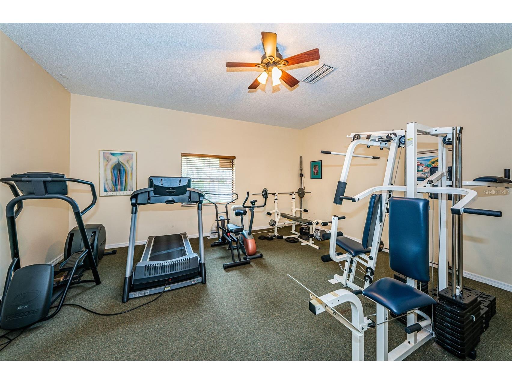 1686 Seascape Circle Tarpon Springs FL 34689 TB8526235 image34