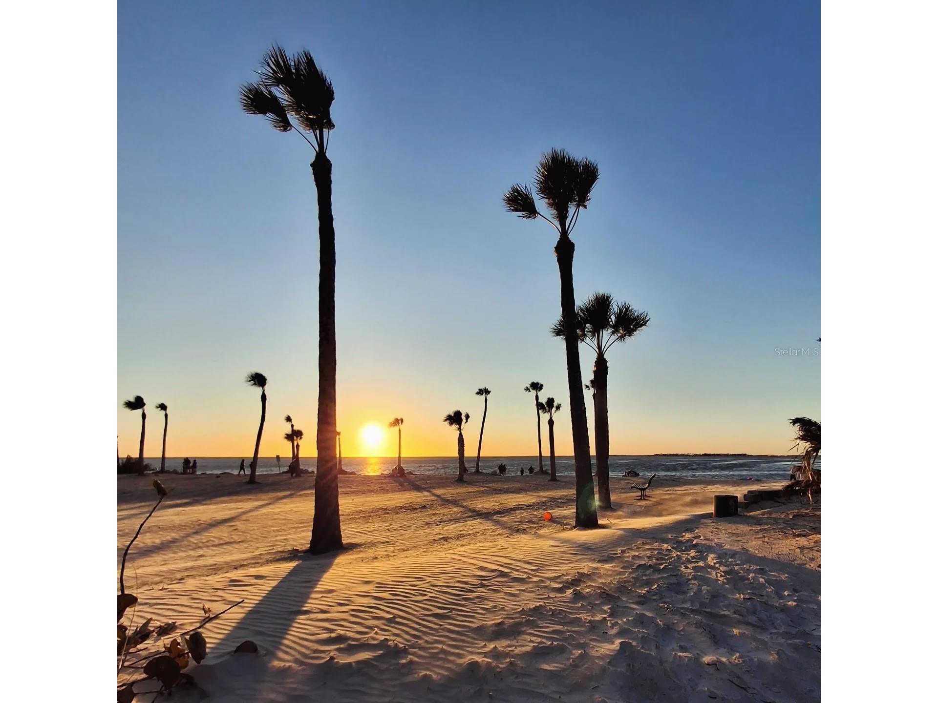 1686 Seascape Circle Tarpon Springs FL 34689 TB8526235 image41