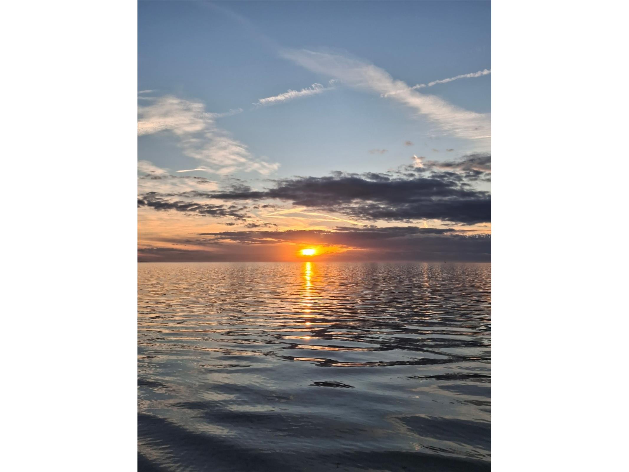 1686 Seascape Circle Tarpon Springs FL 34689 TB8526235 image42