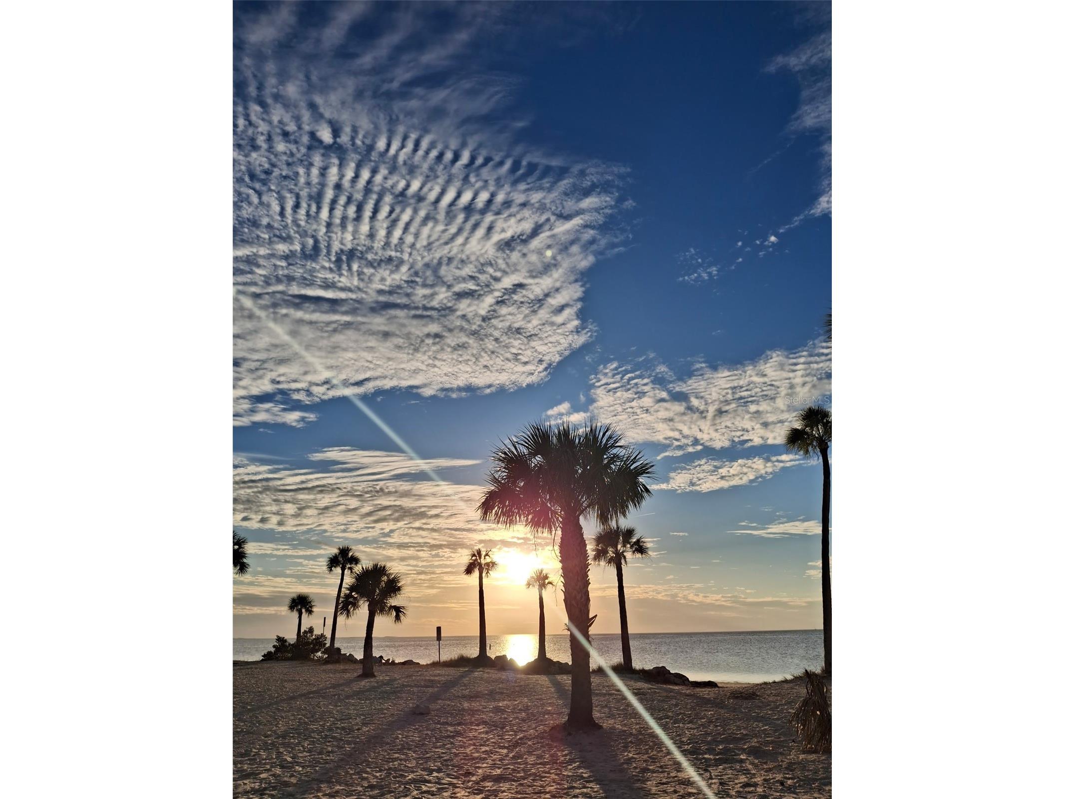 1686 Seascape Circle Tarpon Springs FL 34689 TB8526235 image43