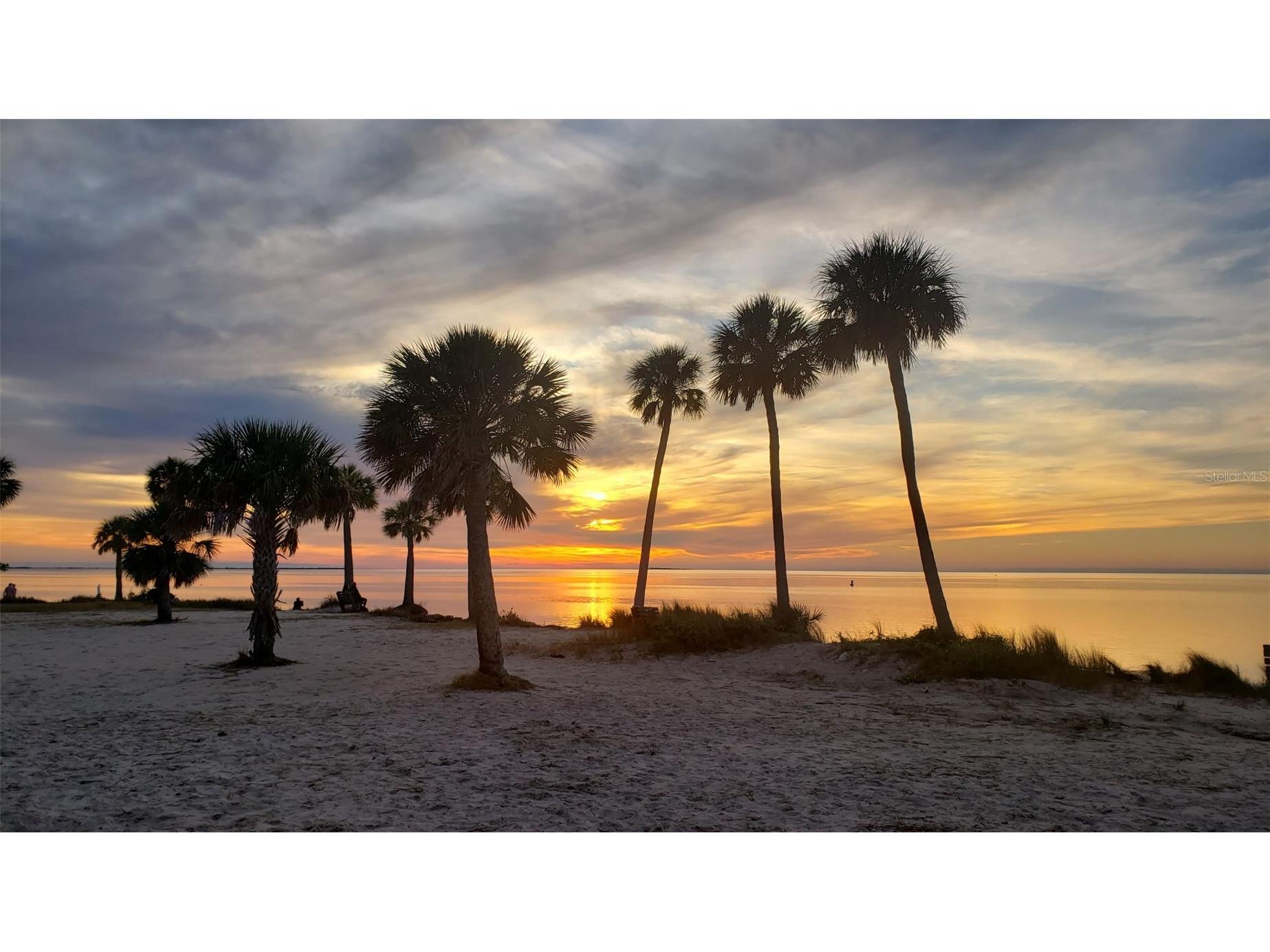 1686 Seascape Circle Tarpon Springs FL 34689 TB8526235 image44