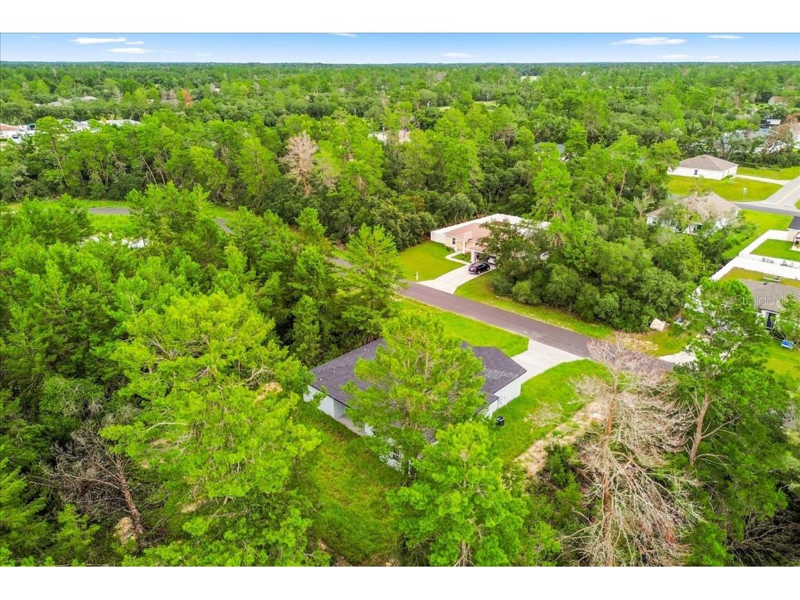 16862 Sw 40th Cir Ocala FL 34473 O6330350 image10