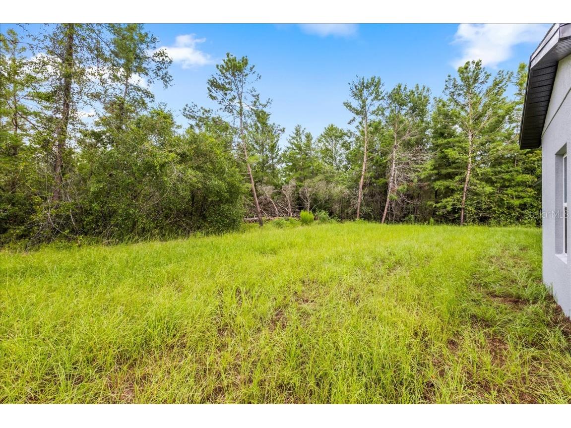 16862 Sw 40th Cir Ocala FL 34473 O6330350 image11